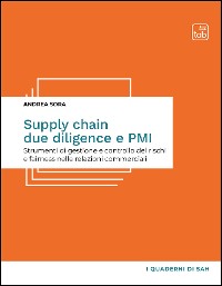 Cover Supply Chain Due Diligence e PMI