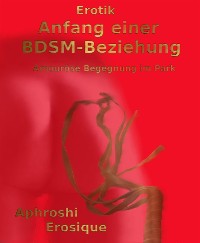 Cover Anfang einer BDSM-Beziehung