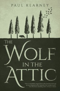 Cover Wolf in the Attic