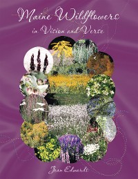 Cover Maine Wildflowers in Vision and Verse