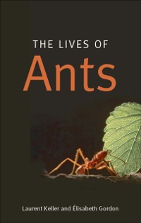 Cover Lives of Ants