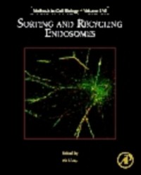 Cover Sorting and Recycling Endosomes