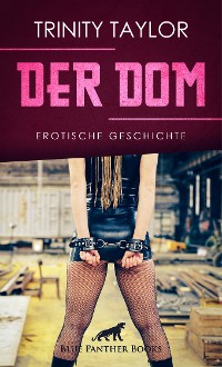 Cover Der Dom | Erotische Geschichte