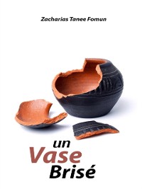 Cover Un Vase Brise