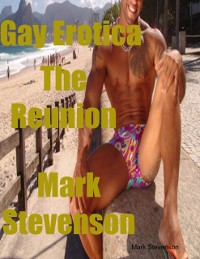 Cover Gay Erotica the Reunion