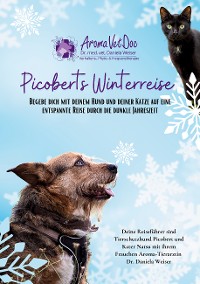 Cover Picoberts Winterreise