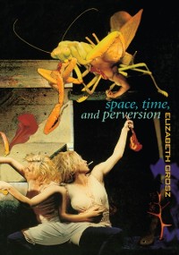 Cover Space, Time and Perversion