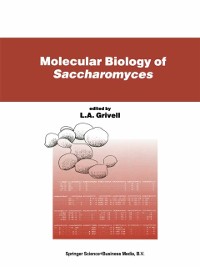 Cover Molecular Biology of Saccharomyces