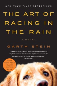 Cover Art of Racing in the Rain