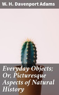 Cover Everyday Objects; Or, Picturesque Aspects of Natural History