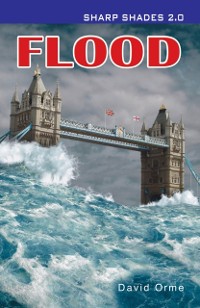 Cover Flood  (Sharper Shades)