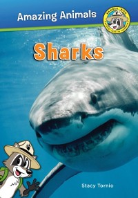 Cover Sharks