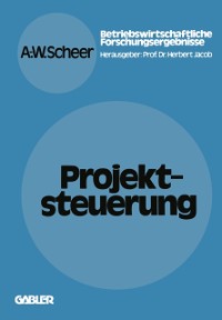 Cover Projektsteuerung