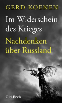 Cover Im Widerschein des Krieges