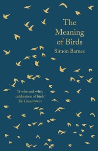 Cover The Meaning of Birds