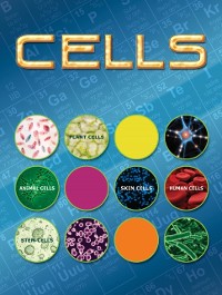Cover Cells