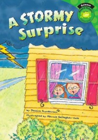 Cover Stormy Surprise