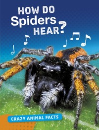 Cover How Do Spiders Hear?