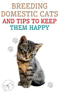 Cover Breeding Domestic Cats and Tips to Keep Them Happy