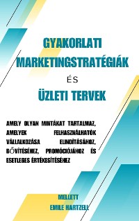 Cover Gyakorlati marketingstratégiák és üzleti tervek