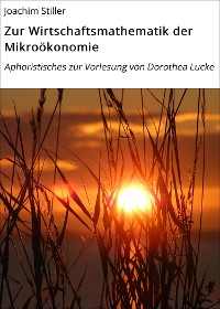 Cover Zur Wirtschaftsmathematik der Mikroökonomie