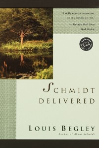 Cover Schmidt Delivered