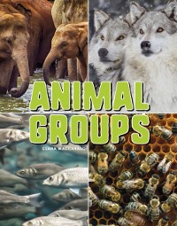 Cover Animal Groups