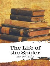 Cover The Life of the Spider