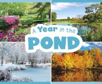 Cover Year in the Pond