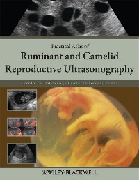 Cover Practical Atlas of Ruminant and Camelid Reproductive Ultrasonography
