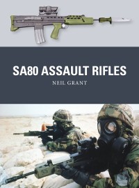 Cover SA80 Assault Rifles