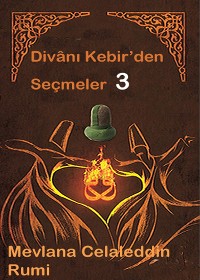 Cover Divan-ı Kebir'den Seçmeler 3