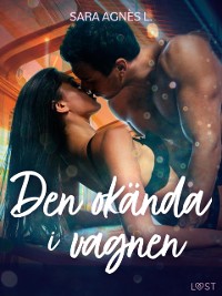 Cover Den okända i vagnen - erotisk novell