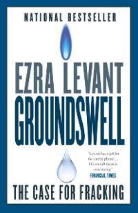 Cover Groundswell