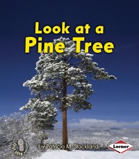 Cover Look at a Pine Tree