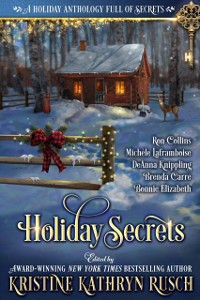 Cover Holiday Secrets