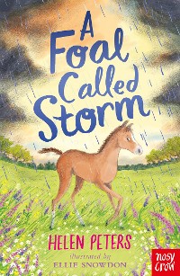 Cover A Foal Called Storm