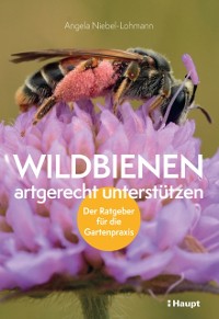 Cover Wildbienen artgerecht unterstutzen