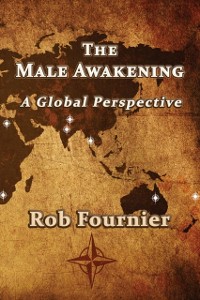 Cover The Male Awakening : A Global Perspective
