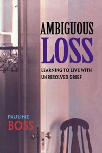 Cover Ambiguous Loss