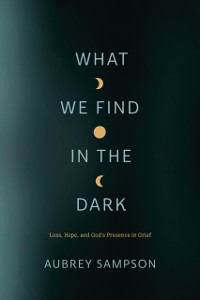 Cover What We Find in the Dark