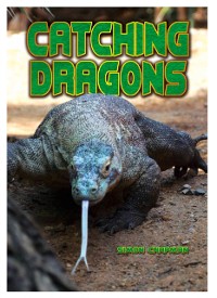 Cover Catching Dragons