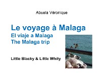 Cover Le voyage à Malaga