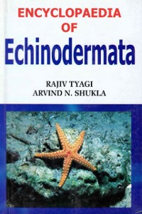 Cover Encyclopaedia of Echinodermata (Comparative Anatomy Of Echinodermata)