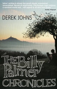 Cover Billy Palmer Chronicles