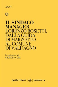 Cover Il Sindaco Manager