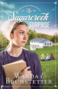 Cover Sugarcreek Surprise