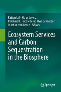 Cover Ecosystem Services and Carbon Sequestration in the Biosphere