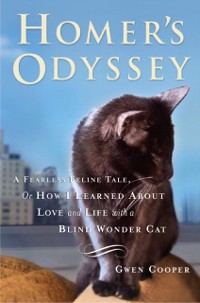 Cover Homer's Odyssey