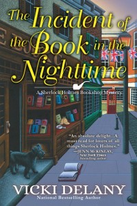 Cover Incident of the Book in the Nighttime